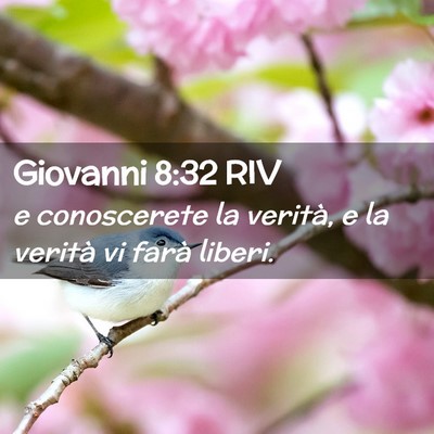 Picture 02 - Giovanni 8:32 RIV - e conoscerete la verità, e la verità vi farà - Bible Verse Picture