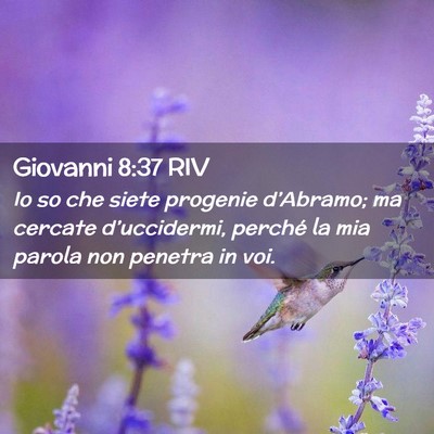 Picture 02 - Giovanni 8:37 RIV - Io so che siete progenie d’Abramo; ma cercate - Bible Verse Picture