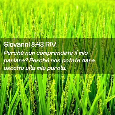 Picture 02 - Giovanni 8:43 RIV - Perché non comprendete il mio parlare? Perché - Bible Verse Picture
