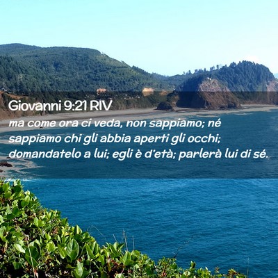 Picture 02 - Giovanni 9:21 RIV - ma come ora ci veda, non sappiamo; né sappiamo - Bible Verse Picture