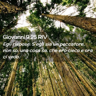 Picture 02 - Giovanni 9:25 RIV - Egli rispose: S’egli sia un peccatore, non so, - Bible Verse Picture