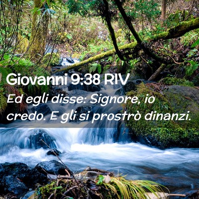 Picture 02 - Giovanni 9:38 RIV - Ed egli disse: Signore, io credo. E gli si - Bible Verse Picture