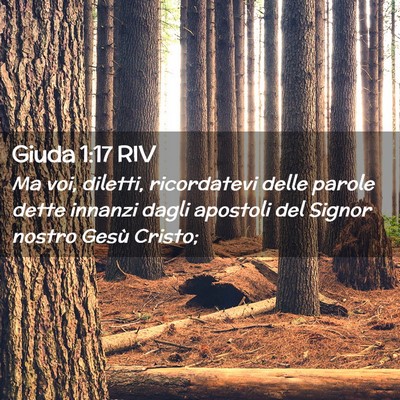 Picture 02 - Giuda 1:17 RIV - Ma voi, diletti, ricordatevi delle parole dette - Bible Verse Picture