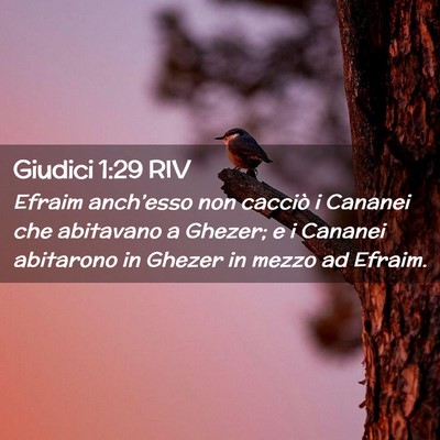 Picture 02 - Giudici 1:29 RIV - Efraim anch’esso non cacciò i Cananei che - Bible Verse Picture