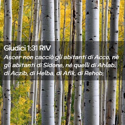 Picture 02 - Giudici 1:31 RIV - Ascer non cacciò gli abitanti di Acco, né gli - Bible Verse Picture