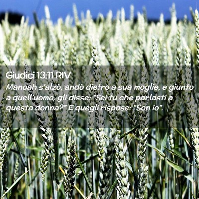 Picture 02 - Giudici 13:11 RIV - Manoah s’alzò, andò dietro a sua moglie, e - Bible Verse Picture