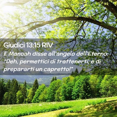 Picture 02 - Giudici 13:15 RIV - E Manoah disse all’angelo dell’Eterno: - Bible Verse Picture