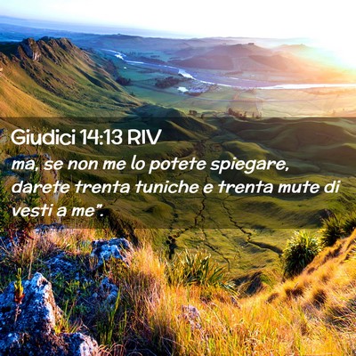 Picture 02 - Giudici 14:13 RIV - ma, se non me lo potete spiegare, darete trenta - Bible Verse Picture