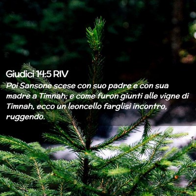 Picture 02 - Giudici 14:5 RIV - Poi Sansone scese con suo padre e con sua madre a - Bible Verse Picture