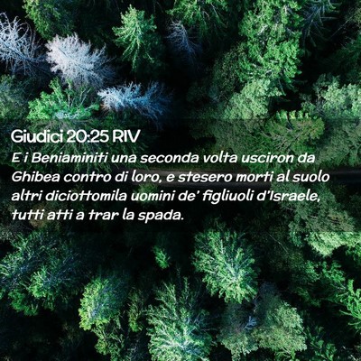 Picture 02 - Giudici 20:25 RIV - E i Beniaminiti una seconda volta usciron da - Bible Verse Picture