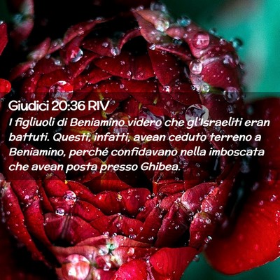 Picture 02 - Giudici 20:36 RIV - I figliuoli di Beniamino videro che - Bible Verse Picture