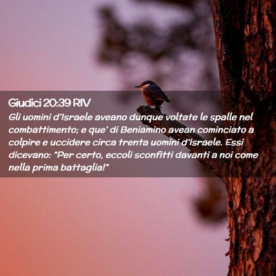 Picture 02 - Giudici 20:39 RIV - Gli uomini d’Israele aveano dunque voltate le - Bible Verse Picture