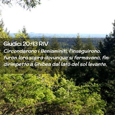 Picture 02 - Giudici 20:43 RIV - Circondarono i Beniaminiti, l’inseguirono, - Bible Verse Picture