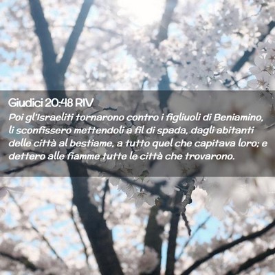 Picture 02 - Giudici 20:48 RIV - Poi gl’Israeliti tornarono contro i figliuoli - Bible Verse Picture