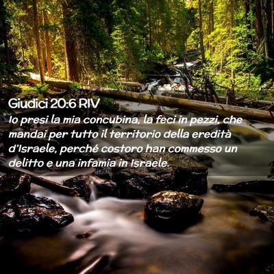 Picture 02 - Giudici 20:6 RIV - Io presi la mia concubina, la feci in pezzi, che - Bible Verse Picture