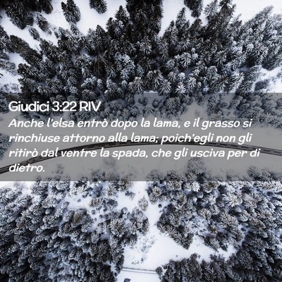 Picture 02 - Giudici 3:22 RIV - Anche l’elsa entrò dopo la lama, e il grasso - Bible Verse Picture
