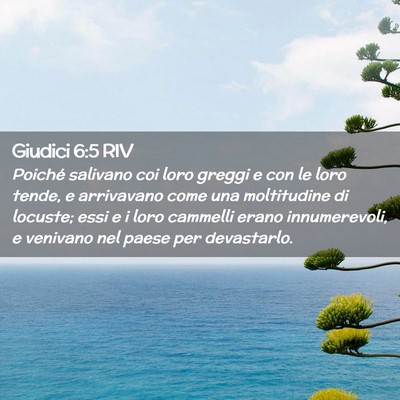 Picture 02 - Giudici 6:5 RIV - Poiché salivano coi loro greggi e con le loro - Bible Verse Picture
