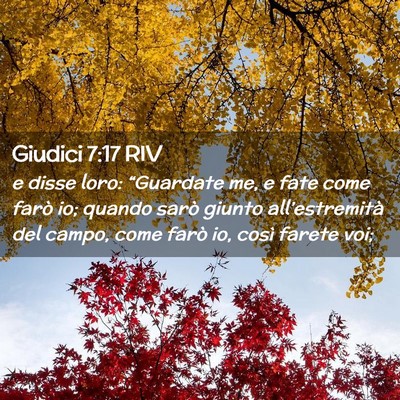 Picture 02 - Giudici 7:17 RIV - e disse loro: “Guardate me, e fate come farò - Bible Verse Picture