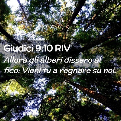 Picture 02 - Giudici 9:10 RIV - Allora gli alberi dissero al fico: Vieni tu a - Bible Verse Picture