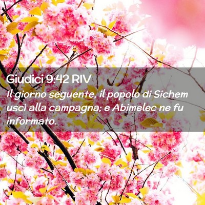 Picture 02 - Giudici 9:42 RIV - Il giorno seguente, il popolo di Sichem uscì - Bible Verse Picture