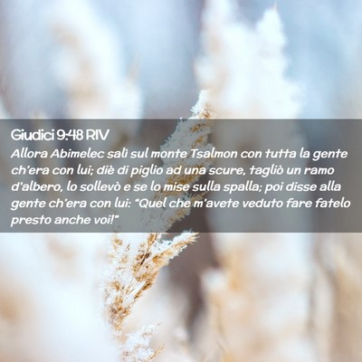 Picture 02 - Giudici 9:48 RIV - Allora Abimelec salì sul monte Tsalmon con tutta - Bible Verse Picture