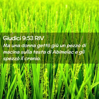 Picture 02 - Giudici 9:53 RIV - Ma una donna gettò giù un pezzo di macina sulla - Bible Verse Picture