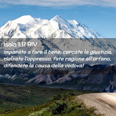 Picture 02 - Isaia 1:17 RIV - imparate a fare il bene; cercate la giustizia, - Bible Verse Picture