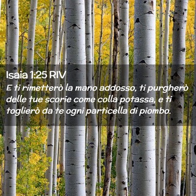 Picture 02 - Isaia 1:25 RIV - E ti rimetterò la mano addosso, ti purgherò - Bible Verse Picture