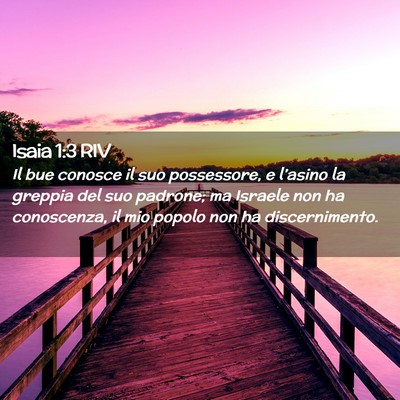 Picture 02 - Isaia 1:3 RIV - Il bue conosce il suo possessore, e l’asino la - Bible Verse Picture