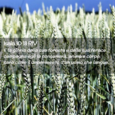 Picture 02 - Isaia 10:18 RIV - E la gloria della sua foresta e della sua ferace - Bible Verse Picture