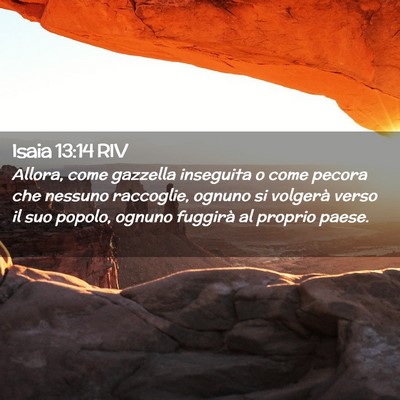 Picture 02 - Isaia 13:14 RIV - Allora, come gazzella inseguita o come pecora che - Bible Verse Picture