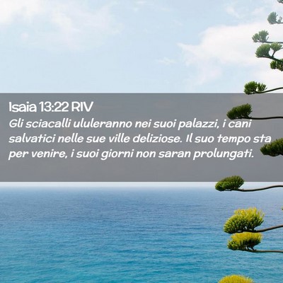 Picture 02 - Isaia 13:22 RIV - Gli sciacalli ululeranno nei suoi palazzi, i cani - Bible Verse Picture