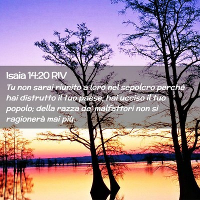Picture 02 - Isaia 14:20 RIV - Tu non sarai riunito a loro nel sepolcro perché - Bible Verse Picture