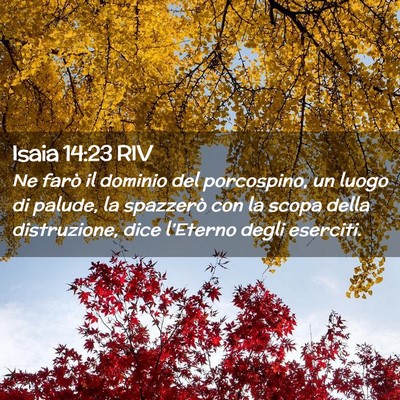 Picture 02 - Isaia 14:23 RIV - Ne farò il dominio del porcospino, un luogo di - Bible Verse Picture