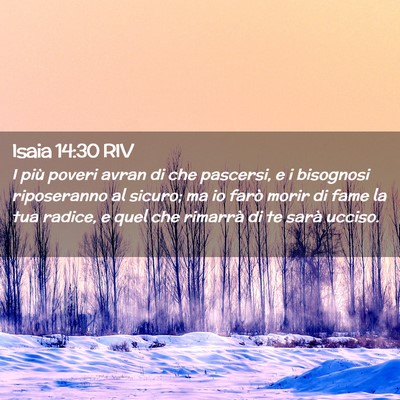 Picture 02 - Isaia 14:30 RIV - I più poveri avran di che pascersi, e i - Bible Verse Picture