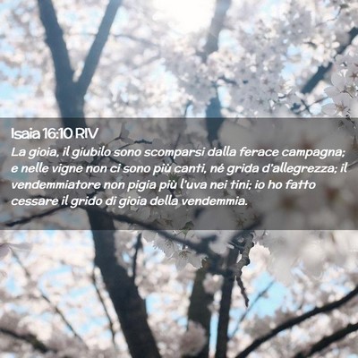 Picture 02 - Isaia 16:10 RIV - La gioia, il giubilo sono scomparsi dalla ferace - Bible Verse Picture