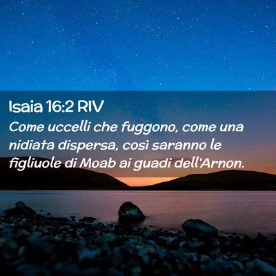 Picture 02 - Isaia 16:2 RIV - Come uccelli che fuggono, come una nidiata - Bible Verse Picture