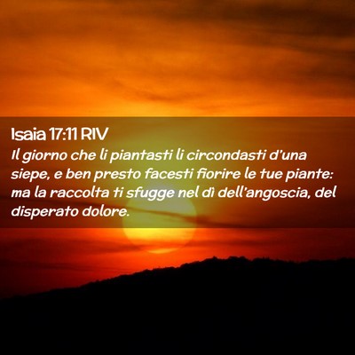 Picture 02 - Isaia 17:11 RIV - Il giorno che li piantasti li circondasti d’una - Bible Verse Picture