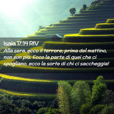 Picture 02 - Isaia 17:14 RIV - Alla sera, ecco il terrore; prima del mattino, - Bible Verse Picture