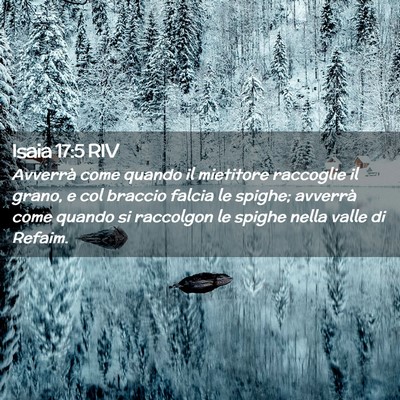 Picture 02 - Isaia 17:5 RIV - Avverrà come quando il mietitore raccoglie il - Bible Verse Picture