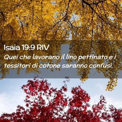 Picture 02 - Isaia 19:9 RIV - Quei che lavorano il lino pettinato e i tessitori - Bible Verse Picture