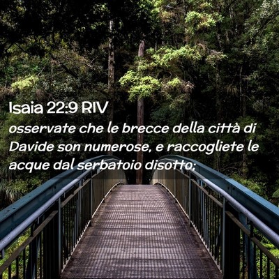 Picture 02 - Isaia 22:9 RIV - osservate che le brecce della città di Davide - Bible Verse Picture