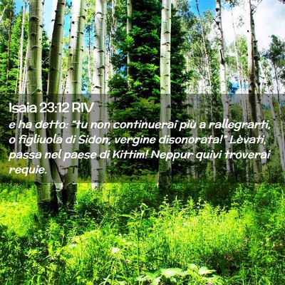 Picture 02 - Isaia 23:12 RIV - e ha detto: “tu non continuerai più a - Bible Verse Picture