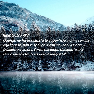 Picture 02 - Isaia 28:25 RIV - Quando ne ha appianata la superficie, non vi - Bible Verse Picture