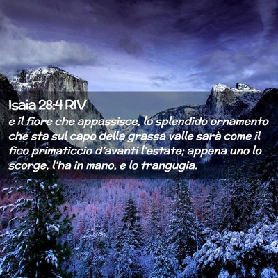 Picture 02 - Isaia 28:4 RIV - e il fiore che appassisce, lo splendido ornamento - Bible Verse Picture