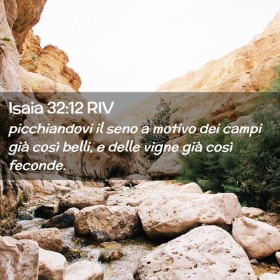 Picture 02 - Isaia 32:12 RIV - picchiandovi il seno a motivo dei campi già - Bible Verse Picture
