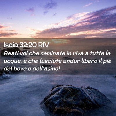 Picture 02 - Isaia 32:20 RIV - Beati voi che seminate in riva a tutte le acque, - Bible Verse Picture