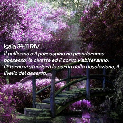 Picture 02 - Isaia 34:11 RIV - Il pellicano e il porcospino ne prenderanno - Bible Verse Picture