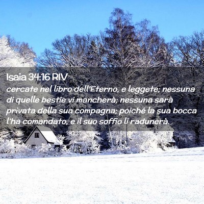 Picture 02 - Isaia 34:16 RIV - cercate nel libro dell’Eterno, e leggete; - Bible Verse Picture
