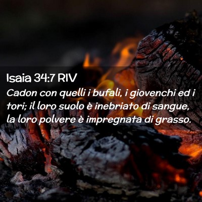 Picture 02 - Isaia 34:7 RIV - Cadon con quelli i bufali, i giovenchi ed i tori; - Bible Verse Picture
